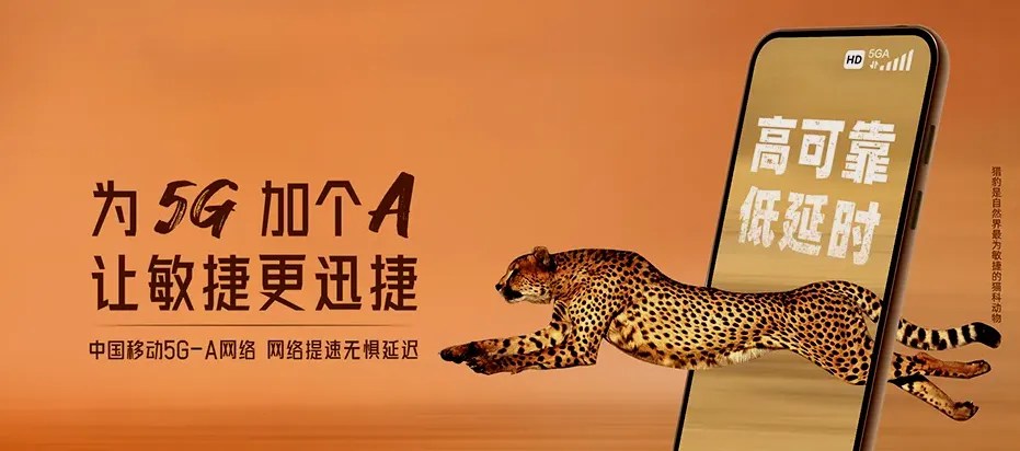 汝州市汝州市纸坊镇 移动宽带